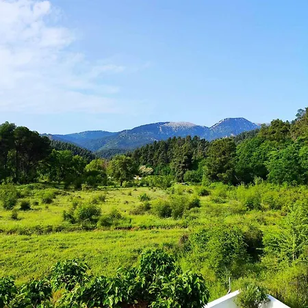 Casa vacanze Forest View Evia Prokopi