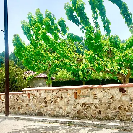 Forest View Evia Casa vacanze